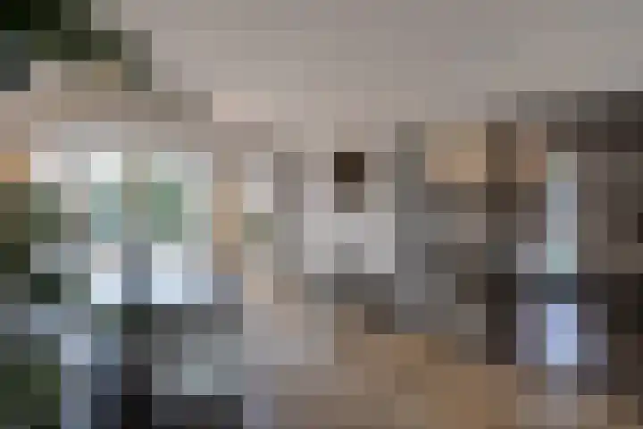 Boslaan 2 Huizen thumbnail 9