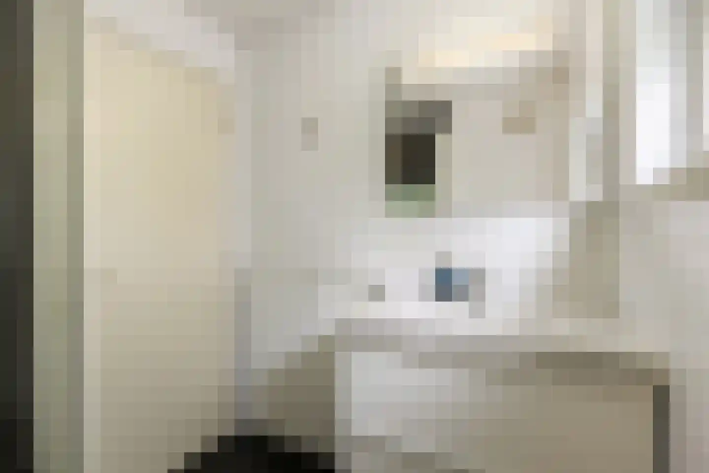 Boslaan 20 Lunteren thumbnail 23