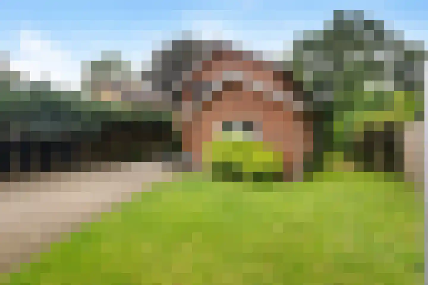Boslaan 20 Lunteren thumbnail 39