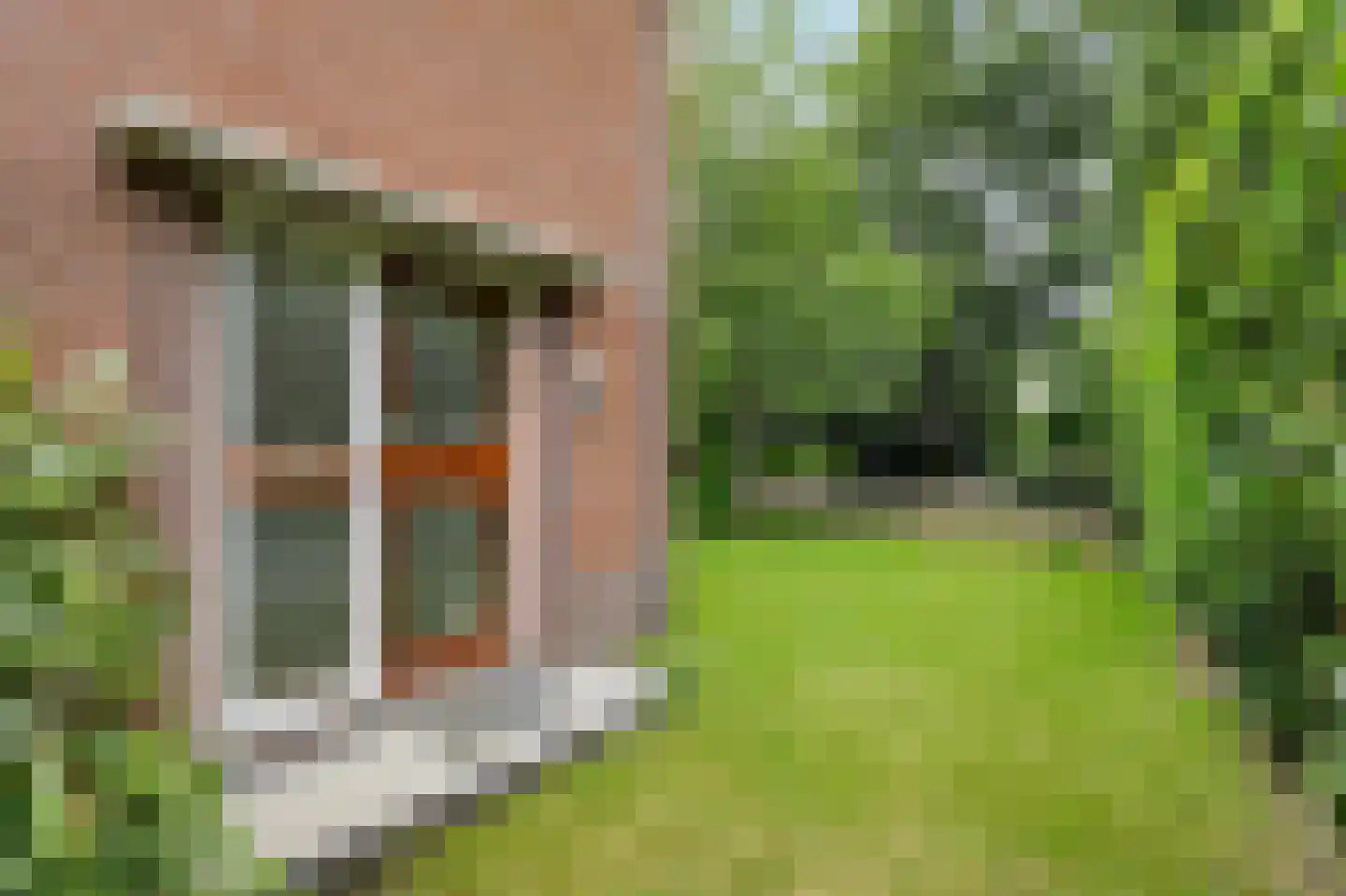 Boslaan 20 Lunteren thumbnail 40