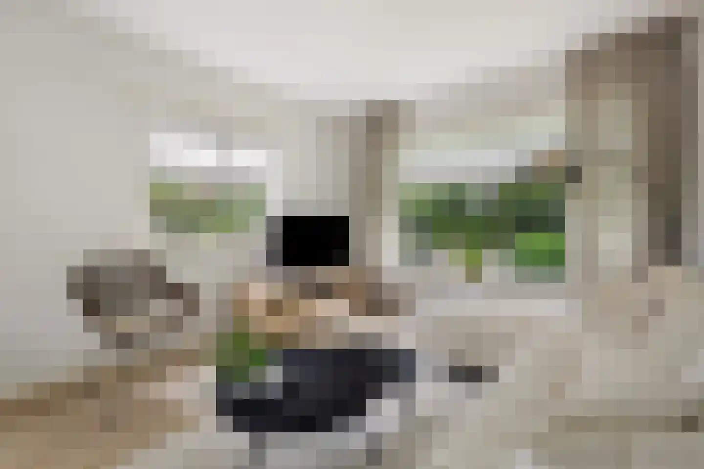 Boslaan 20 Lunteren thumbnail 5