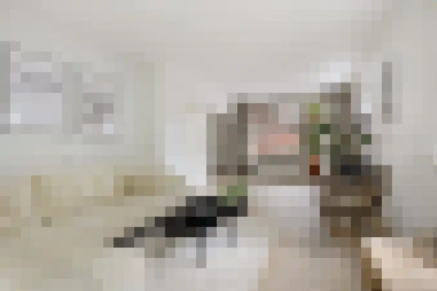 Boslaan 20 Lunteren thumbnail 6