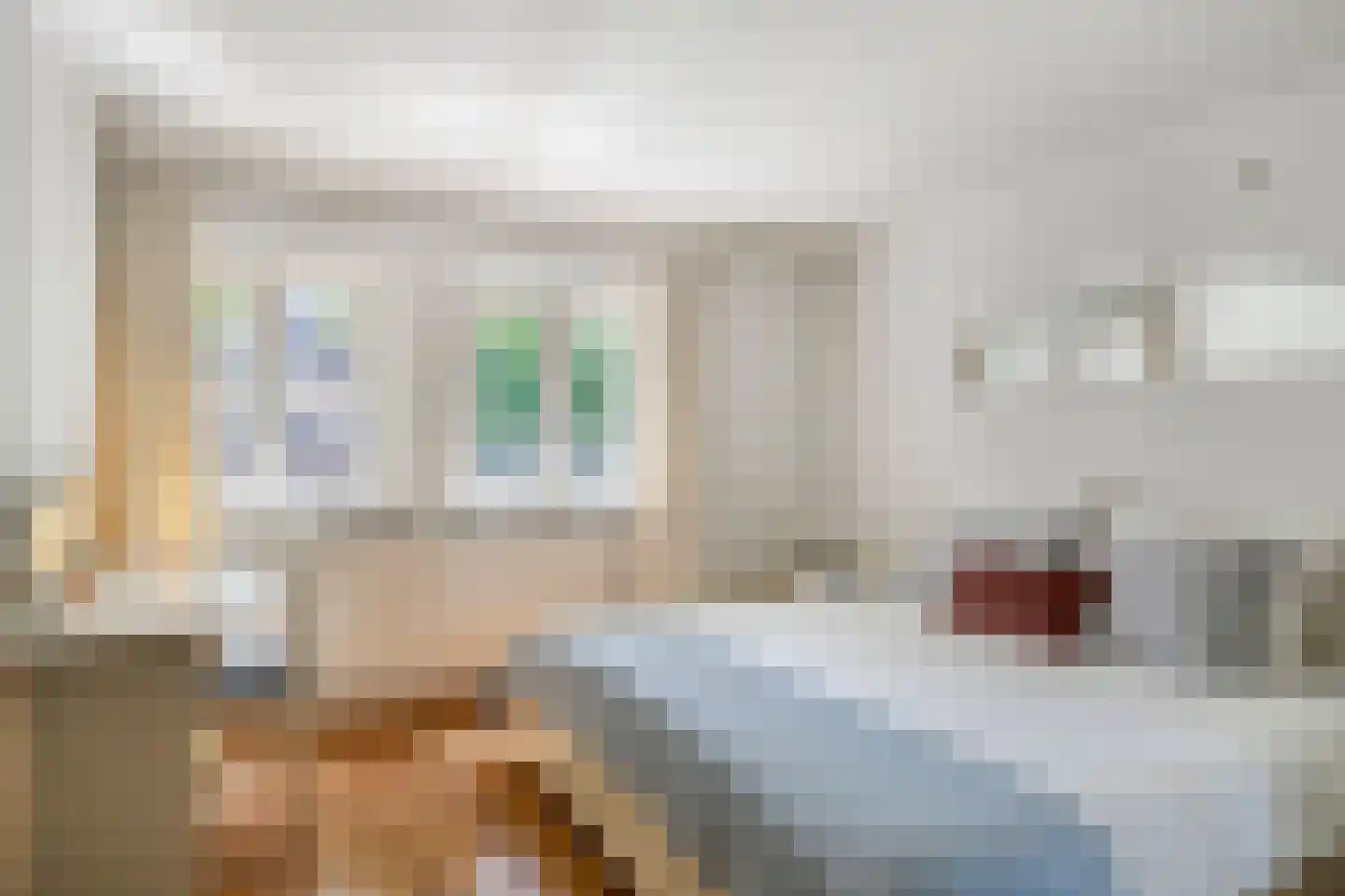 Boslaan 20 Son en Breugel thumbnail 18