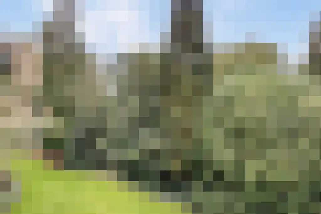 Boslaan 21 D 27 Bussum thumbnail 21