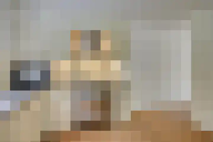 Boslaan 22 Appelscha thumbnail 15
