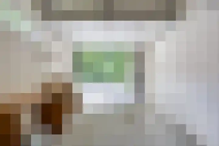 Boslaan 22 Appelscha thumbnail 21