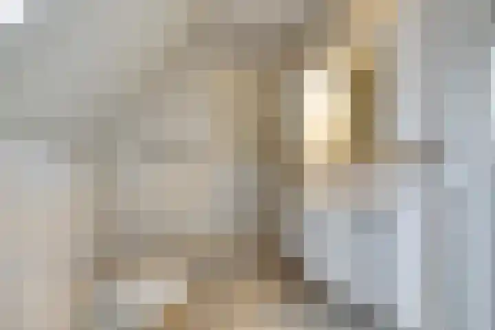 Boslaan 22 Appelscha thumbnail 24