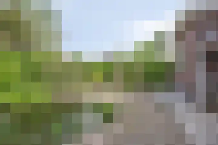 Boslaan 22 Appelscha thumbnail 33