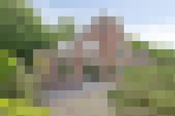 Boslaan 22 Appelscha thumbnail 34