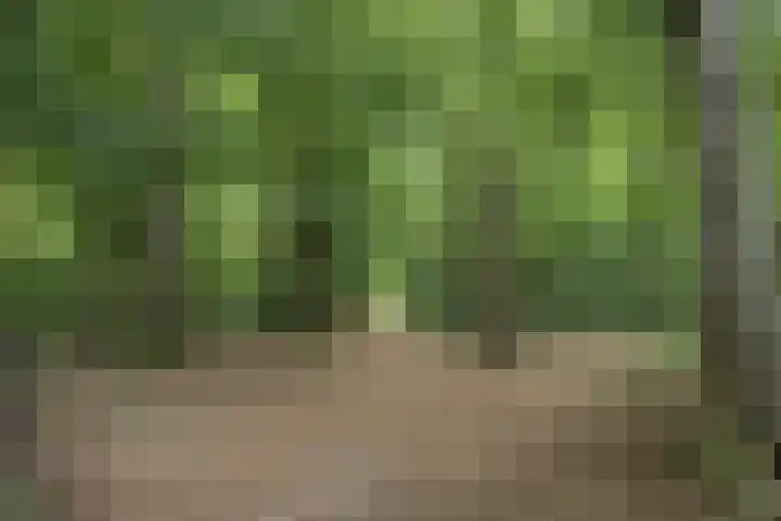 Boslaan 22 Appelscha thumbnail 39