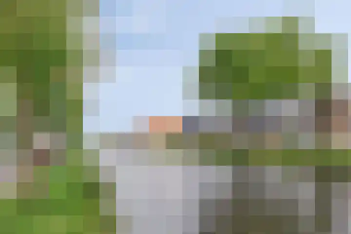 Boslaan 22 Appelscha thumbnail 40