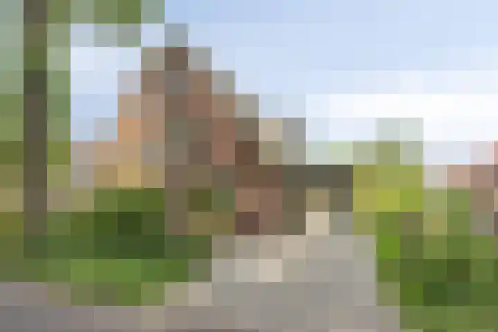 Boslaan 22 Appelscha thumbnail 42
