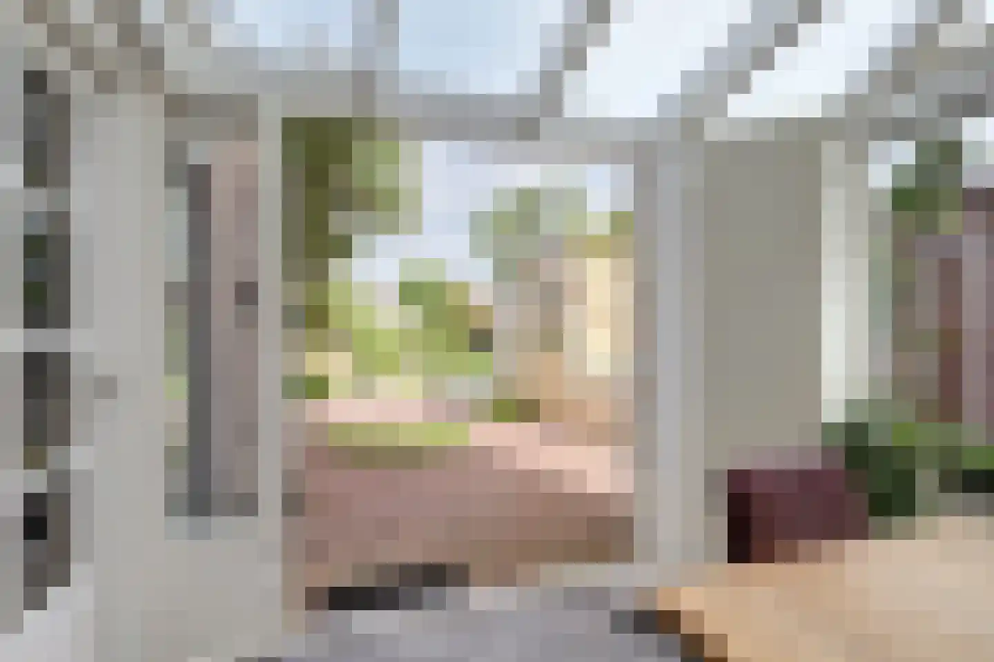 Boslaan 22 Veenendaal thumbnail 28