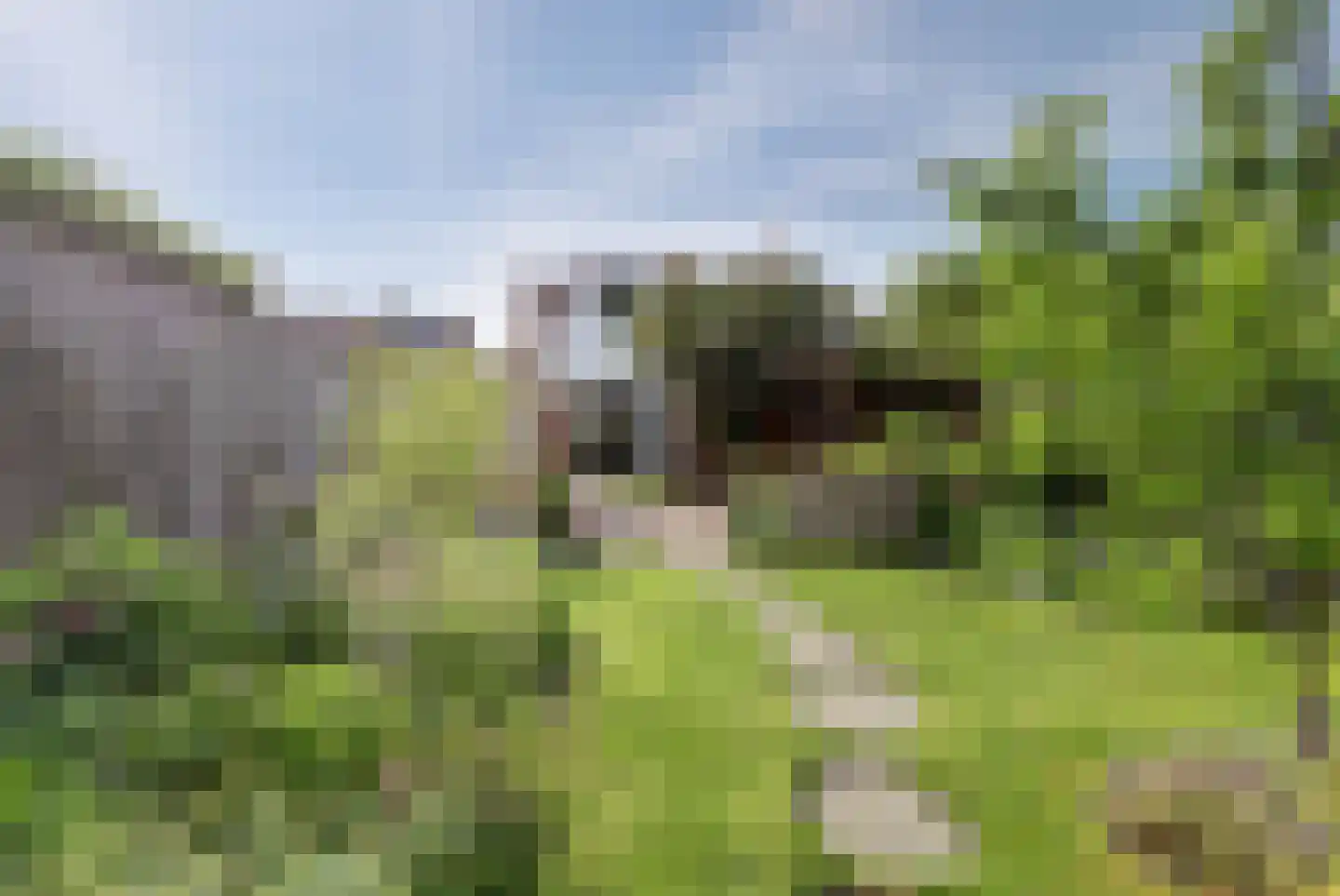 Boslaan 22 Veenendaal thumbnail 30