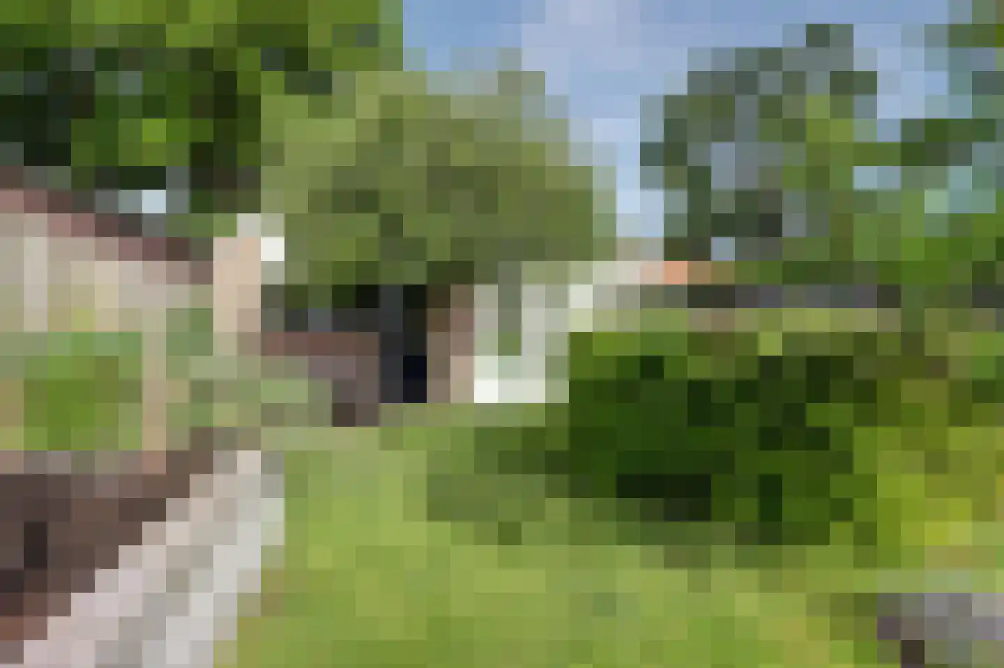 Boslaan 22 Veenendaal thumbnail 36
