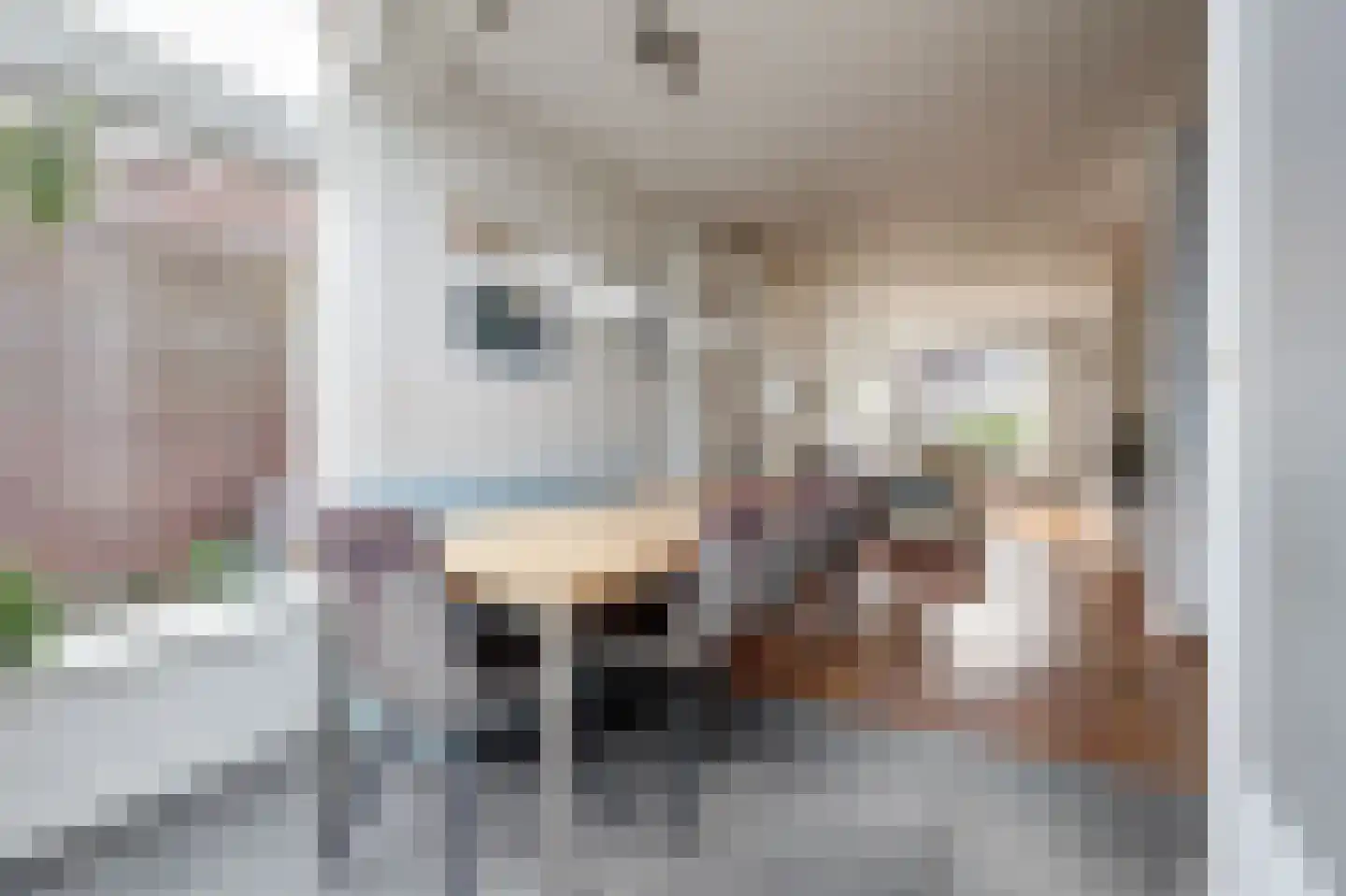 Boslaan 22 Veenendaal thumbnail 8