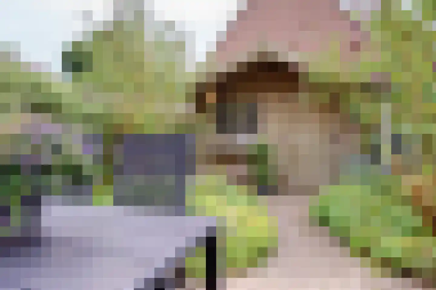 Boslaan 22 Zuidbroek thumbnail 28