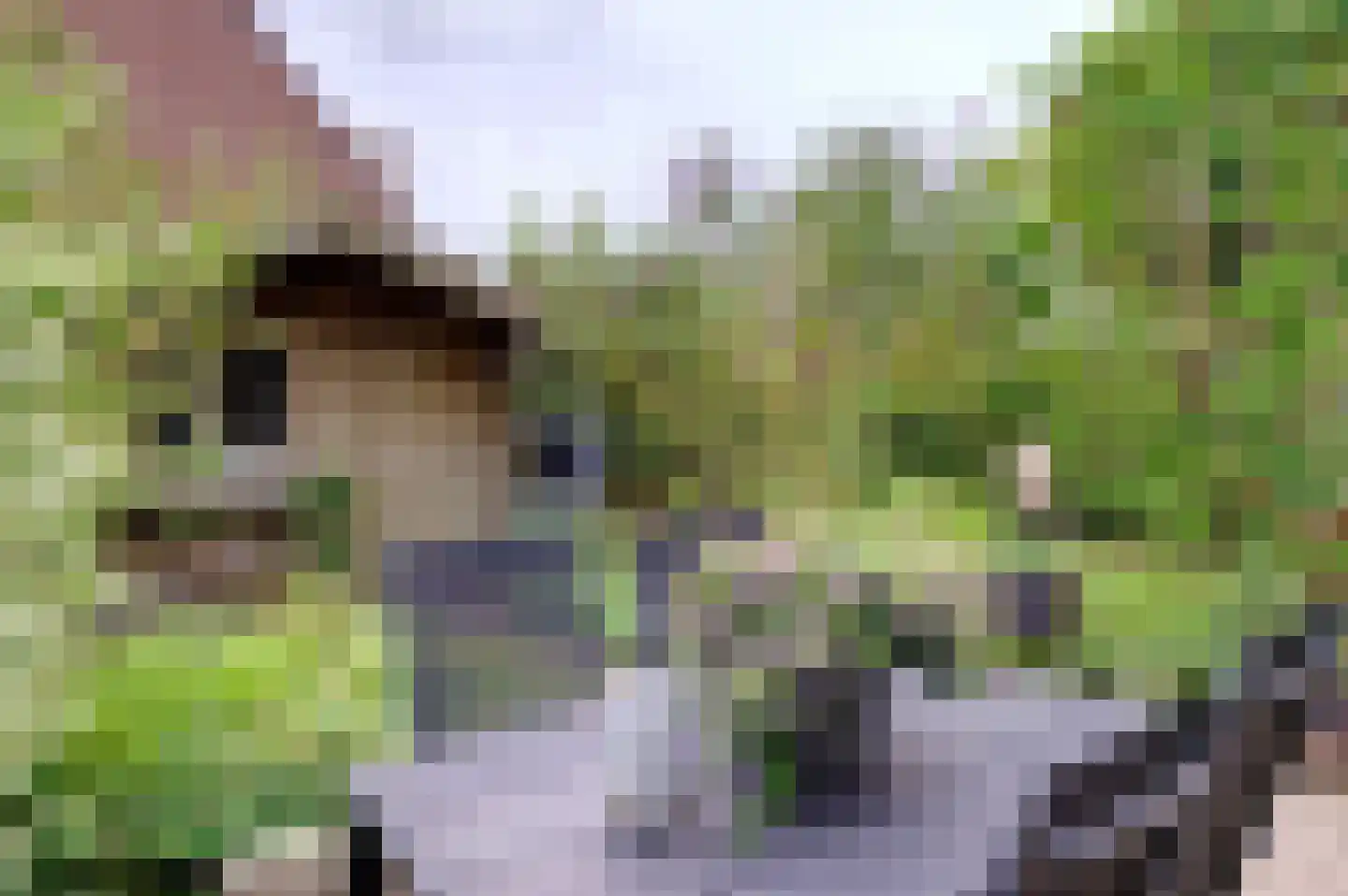 Boslaan 22 Zuidbroek thumbnail 5