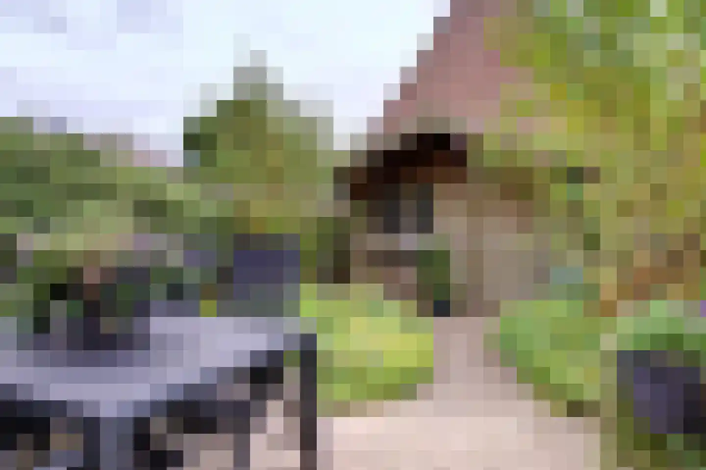 Boslaan 22 Zuidbroek thumbnail 6