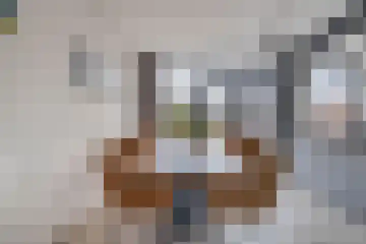 Boslaan 23 Zevenhuizen thumbnail 11