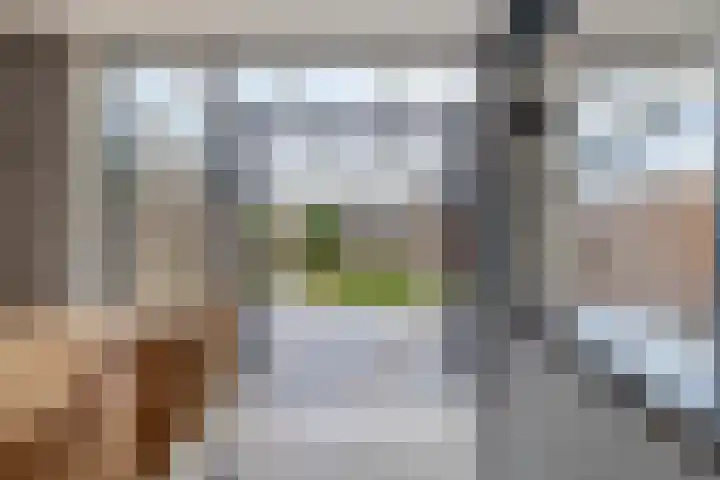 Boslaan 23 Zevenhuizen thumbnail 12