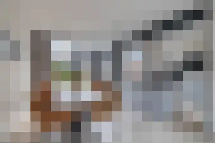 Boslaan 23 Zevenhuizen thumbnail 13