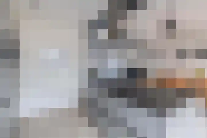 Boslaan 23 Zevenhuizen thumbnail 15