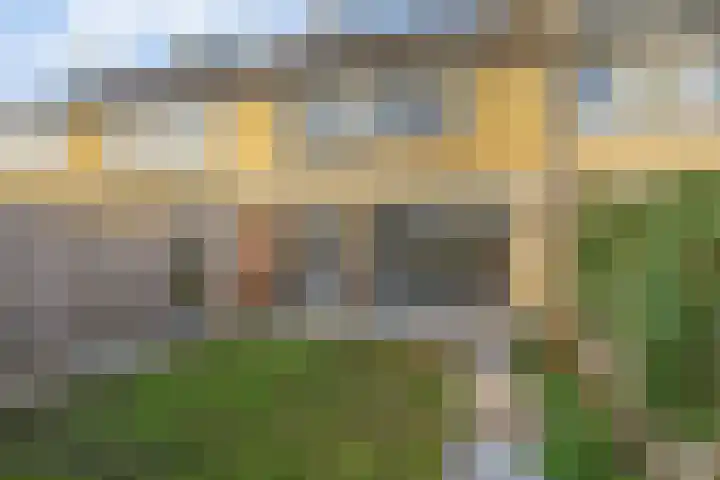 Boslaan 23 Zevenhuizen thumbnail 26