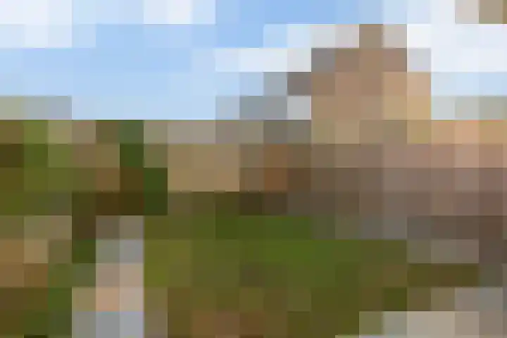 Boslaan 23 Zevenhuizen thumbnail 28