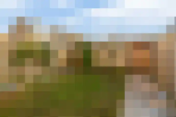 Boslaan 23 Zevenhuizen thumbnail 29