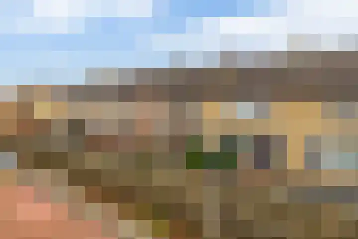 Boslaan 23 Zevenhuizen thumbnail 34