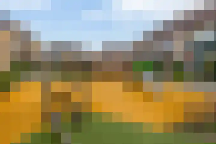 Boslaan 23 Zevenhuizen thumbnail 36