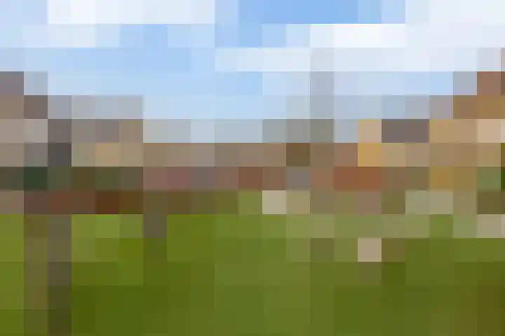 Boslaan 23 Zevenhuizen thumbnail 37