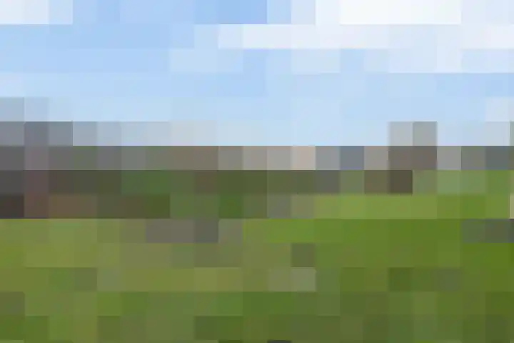 Boslaan 23 Zevenhuizen thumbnail 38