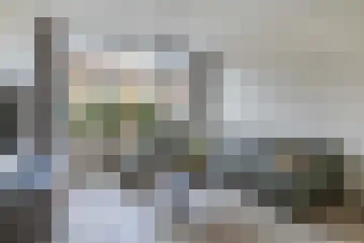 Boslaan 23 Zevenhuizen thumbnail 7