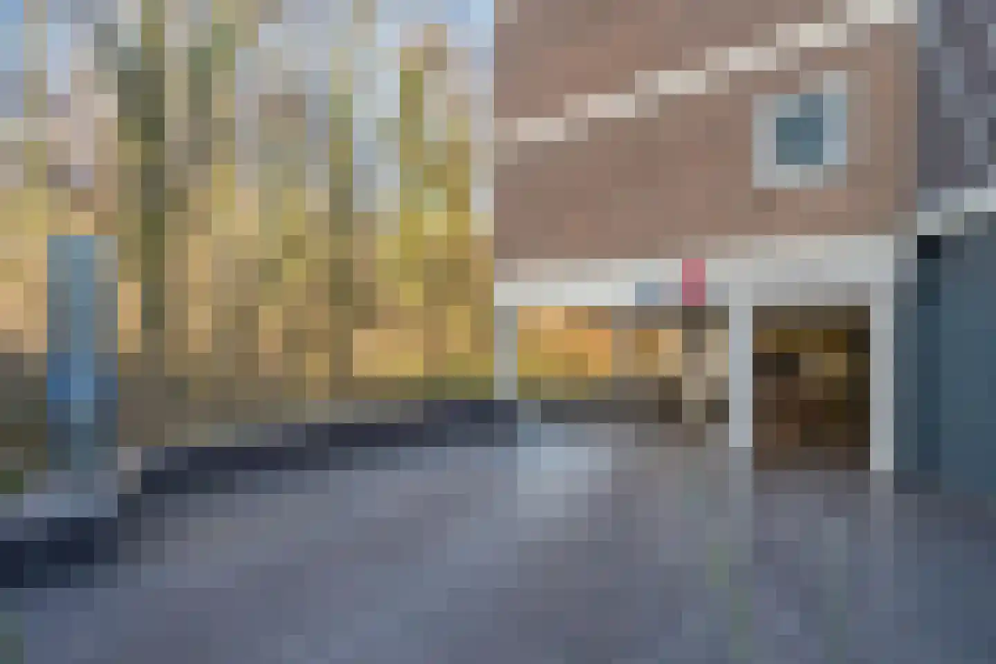 Boslaan 239 Den Haag thumbnail 26