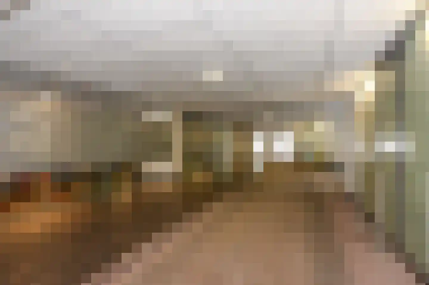 Boslaan 243 Den Haag thumbnail 31