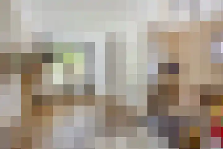 Boslaan 25 Veenendaal thumbnail 10