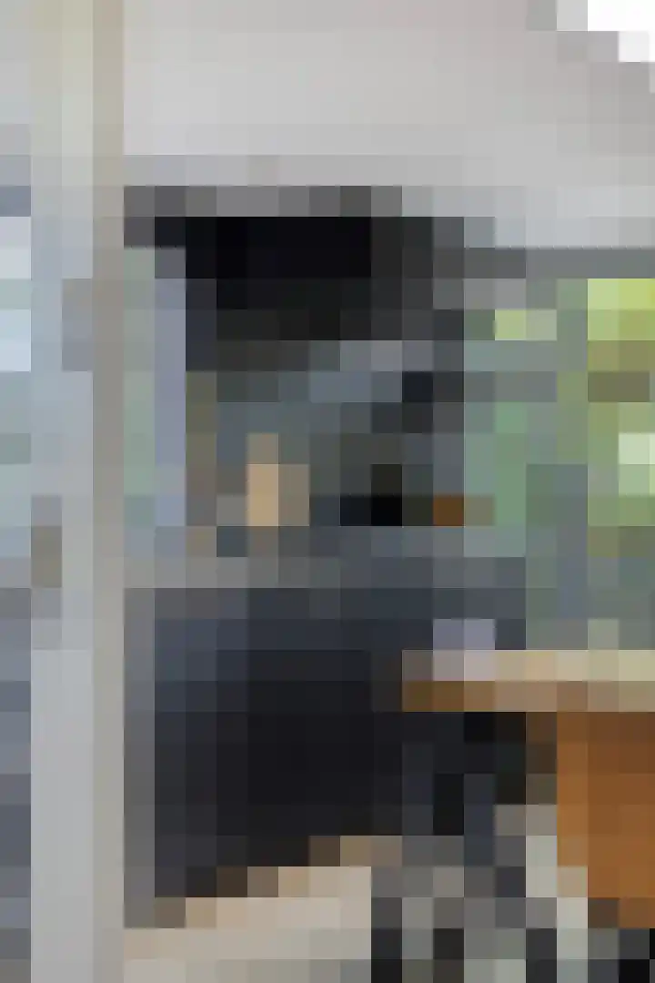Boslaan 25 Veenendaal thumbnail 12