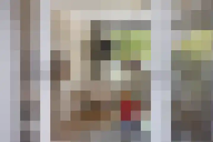 Boslaan 25 Veenendaal thumbnail 18