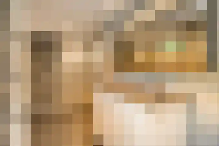 Boslaan 25 Veenendaal thumbnail 20