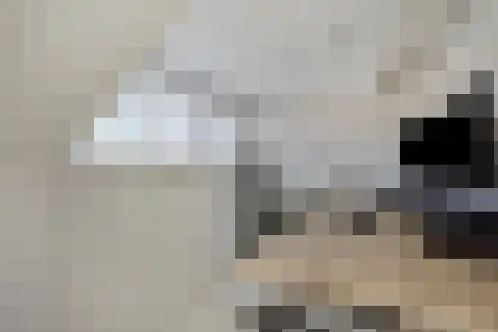 Boslaan 25 Veenendaal thumbnail 32
