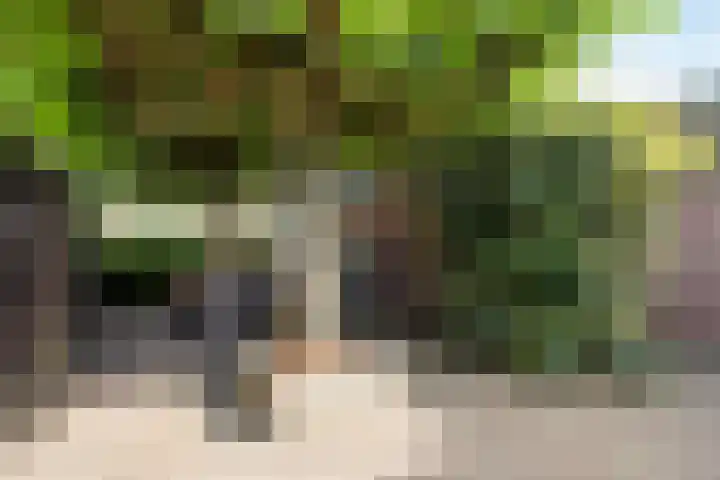 Boslaan 25 Veenendaal thumbnail 36