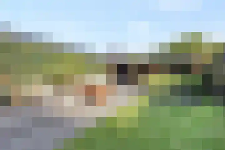Boslaan 25 Veenendaal thumbnail 40