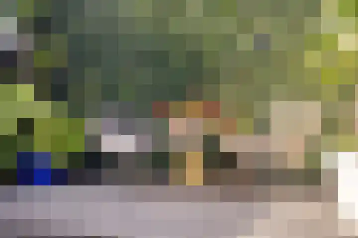 Boslaan 25 Veenendaal thumbnail 41