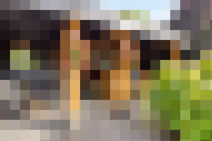 Boslaan 25 Veenendaal thumbnail 43
