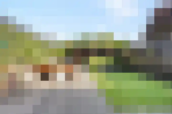 Boslaan 25 Veenendaal thumbnail 5