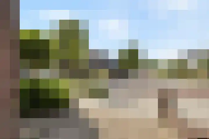 Boslaan 25 Veenendaal thumbnail 53