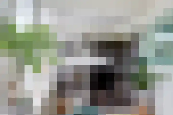 Boslaan 26 Amerongen thumbnail 10