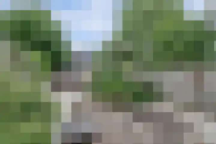 Boslaan 26 Amerongen thumbnail 38